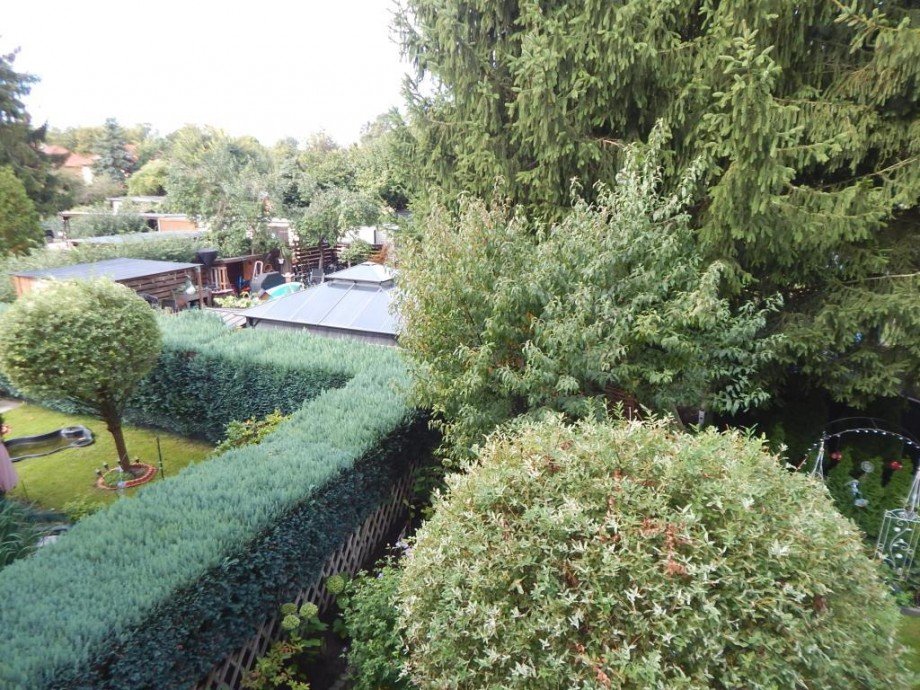 Blick in den Gartenbereich Wohnung Strausberg