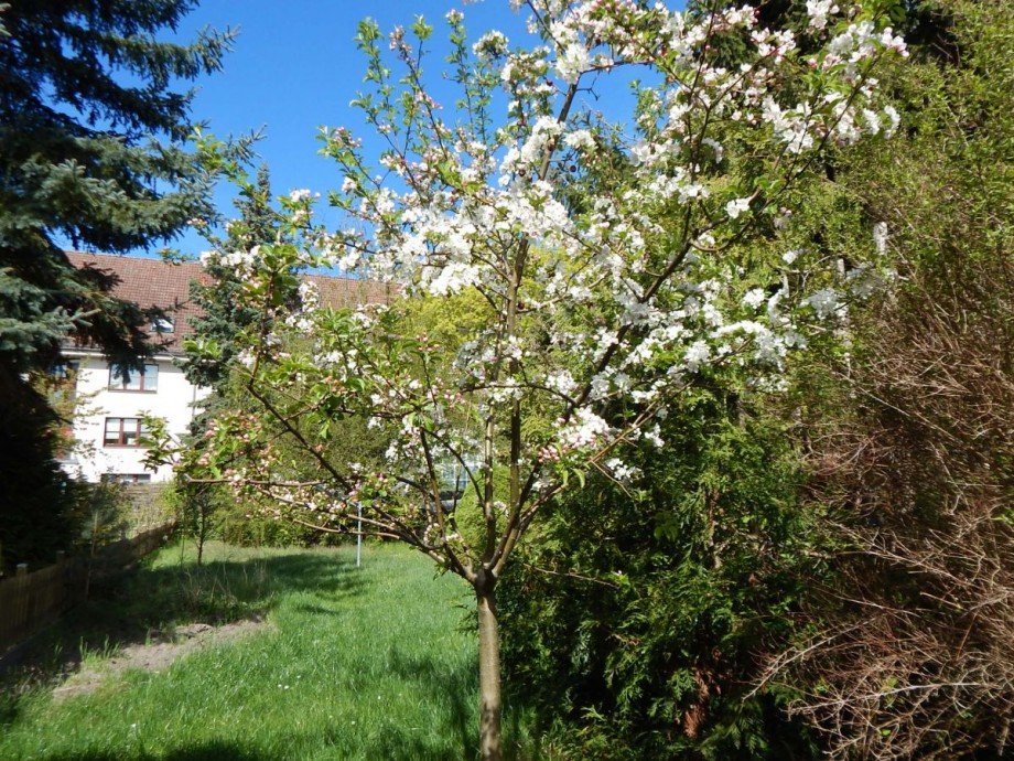 Gartenansicht Einfamilienhaus Strausberg
